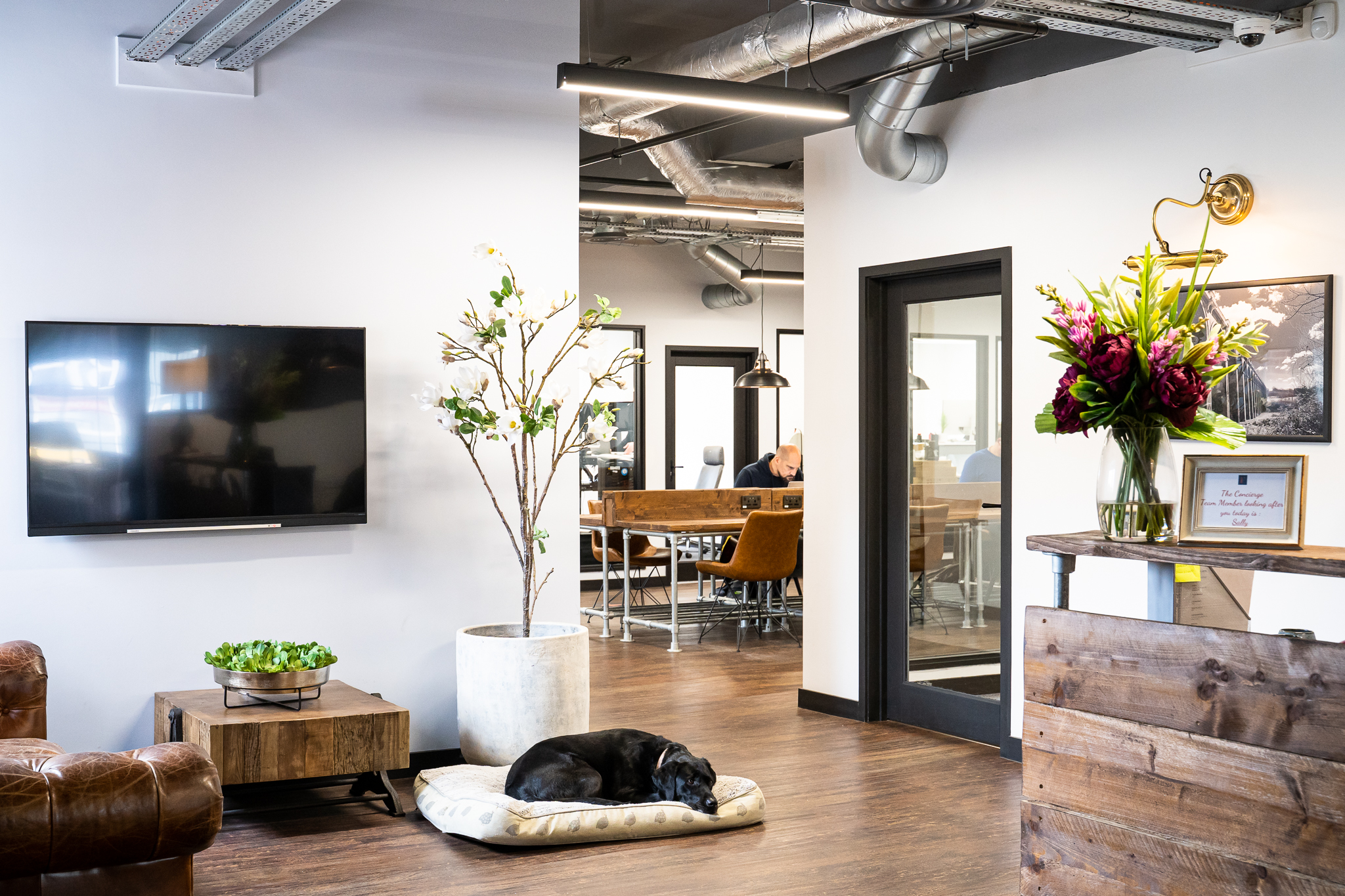 Freshill interiors SCREEN 35 - Freshmill Haywards Heath