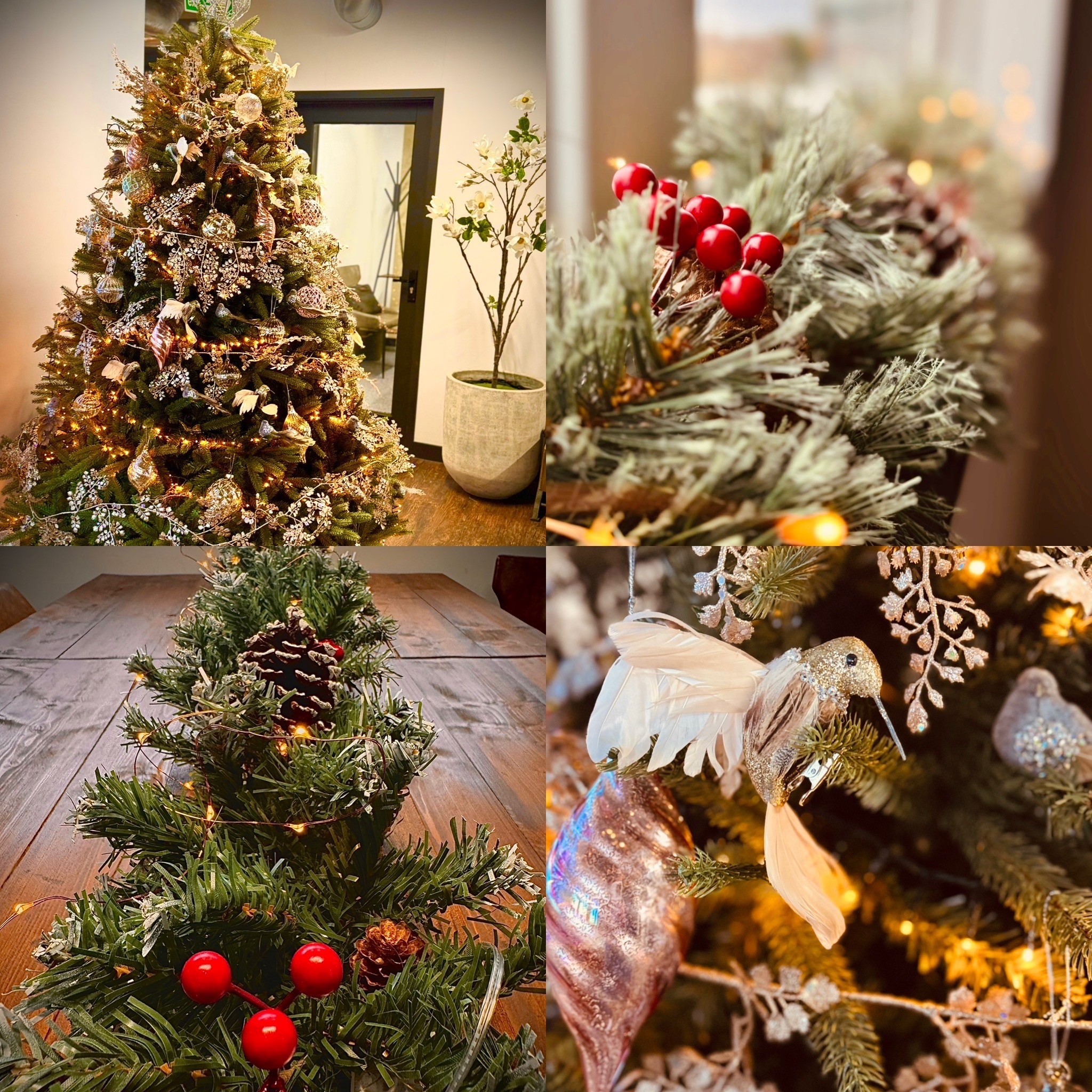 Christmas at Freshmill - Freshmill Haywards Heath