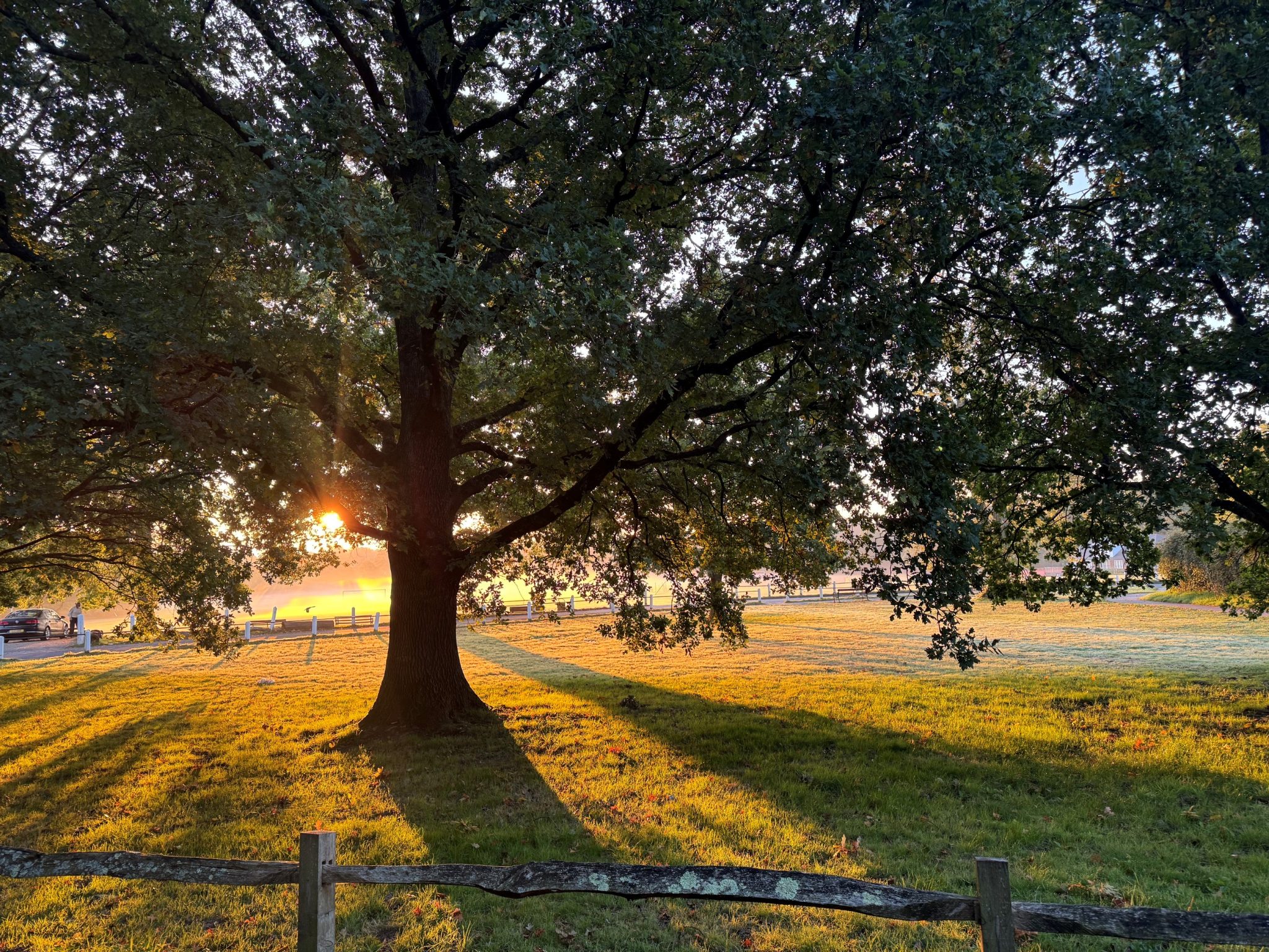 Summer Pic - Freshmill Haywards Heath